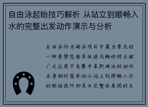 自由泳起始技巧解析 从站立到顺畅入水的完整出发动作演示与分析